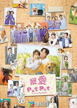 宠爱Pet Pet（国语）