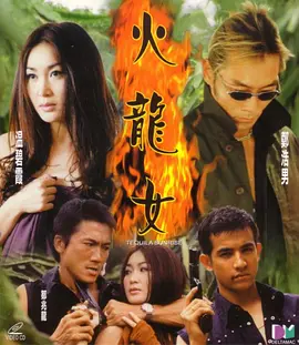火龙女 (2000)海报剧照
