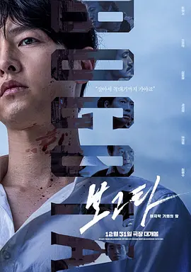 波哥大 보고타 (2024)