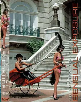 性感曝光 Sensual Exposure (1993)