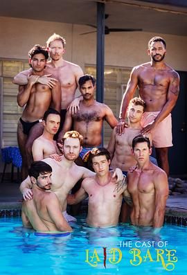 赤裸真相海报剧照