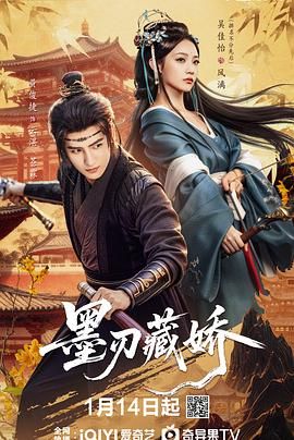 墨刃藏娇海报剧照