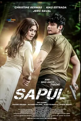 联合惩治 Sapul (2023)